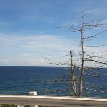A 100-word Story: Yearning. Writing, Creative Writing, Stor, telling, and Mobile Photograph project by Rogen Garcia - 07.21.2025