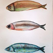 Peixos amb aquarel·les. Watercolor Painting project by Gemma Aurich Muntané - 07.22.2025