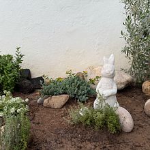 Jardinera mediterránea. Een project van L y scaping van Alicia Garza - 25.07.2025