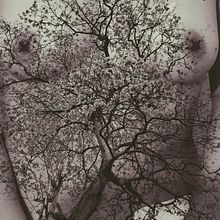 sueños en bordado . Bordir, DIY, Upc, cling, Dan Desain Tekstil proyek oleh Maria Alejandra MARLES BARRERA - 07.29.2025