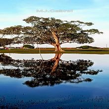 REFLEJOS. Projekt z dziedziny Fotografia cyfrowa,  Kompozycja w fotografii i Teoria barw użytkownika Justina Cabral - 29.07.2025