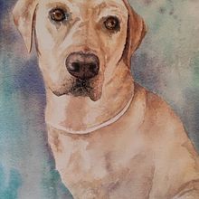 Watercolour painting commission of dog on rough cotton paper. Fine Arts project by Diane Agius Calleja - 07.29.2025