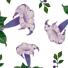 Flores en acuarela. Een project van  Beeldende kunst,  Tekening, Traditionele illustratie, Schilderij, Aquarelschilderen,  Botanische illustratie y Naturalistische illustratie van Clara Megías - 29.07.2025