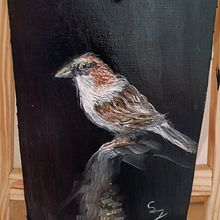 Ölmalerei Vogel. Un proyecto de Bellas Artes, Ilustración naturalista				, Pintura al óleo y Pintura de saskia jäkel - 01.08.2025