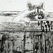 Raccoon: charcoal. Un progetto di Disegno, Illustrazione naturalistica e Belle arti di Lydia Z - 02.08.2025