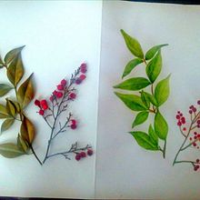 Flores. Een project van Aquarelschilderen, Traditionele illustratie,  Tekening,  Beeldende kunst, Fotografie y Schilderij van Heilen Fuentes - 03.08.2025