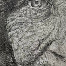 Lo que guarda el tiempo . Een project van Realistische tekening,  Tekening y Tekening met potlood van Mariela Ambrosis - 04.08.2025