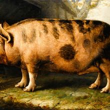 Troceado . Narrative, Stor, telling, and Writing project by pozzidana - 08.05.2025