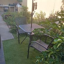 Jardin Casa. Floral, Plant Design, L, scape Architecture, and Spatial Design project by enrique coronado carranco - 08.06.2025
