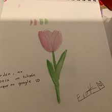 Tulipán . Projekt z dziedziny  Sztuki piękne,  R, sunek, Trad, c, jna ilustracja,  Malarstwo, Malowanie akwarelą, R i sunek botaniczn użytkownika evaisabelaveraherrera - 07.08.2025