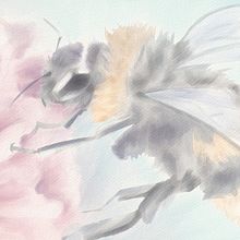 Abeja con flor rosada estilo acuarela en medio digital . Un progetto di Disegno digitale, Illustrazione digitale, Illustrazione naturalistica, Pittura, Pittura digitale e Pittura ad acquerello di Diana Coto - 10.08.2025