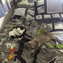 Programa de conversión de unidades Ein Projekt aus dem Bereich Webentwicklung und Programmierung von Rojo Arturo - 11.08.2025