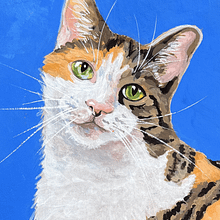 Marisol, A Cat's Portrait. Een project van Realistische tekening, Traditionele illustratie y Naturalistische illustratie van Elisa Cantrell - 11.08.2025