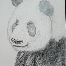 Proyecto Eduardo . Drawing, Traditional illustration, Naturalistic Illustration, and Pencil Drawing project by Eduardo Sánchez Ferreira - 08.12.2025