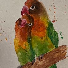 love birds . Traditional illustration, Realistic Drawing, and Naturalistic Illustration project by Somer Selway - 08.12.2025