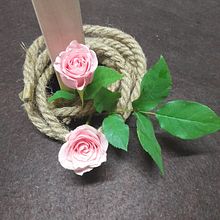 Diálgo . % Angeles Urretavizcaya tarafından hazırlanan Çiçek ve Bitki Tasarımı projesi - 08.13.2025