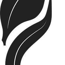 ANKU. Un proyecto de Br, ing e Identidad, Diseño gráfico y Diseño de logotipos de Michael ortiz - 13.08.2025