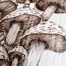 Pirograbado sobre madera. Projekt z dziedziny Craft użytkownika Arlette Cassot - 16.08.2025
