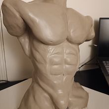 Torso of a Men's Physic IFBB PRO student of my team made by Dr. Pedro Jose Gudiel Pineda. Fine Arts, and Sculpture project by Pedro Jose Gudiel Pineda PhD - 08.16.2025