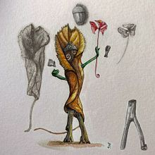 3 personaggi originali da forme vegetali, funghi, licheni e conchiglie. Un progetto di Disegno, Illustrazione naturalistica, Disegno a matita, Sketchbook e Pittura ad acquerello di Egidio Calabrese Violetta - 17.08.2025