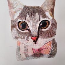 morita . Ilustrație tradițională, Ilustrație naturalistă și Desen realist de albondiga_ninidi - 08.20.2025
