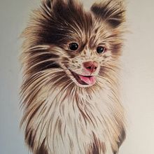 Claus. Traditional illustration, and Naturalistic Illustration project by Ana Ng - 08.22.2025