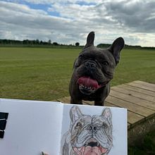 Pet Portrait . Een project van Traditionele illustratie y Naturalistische illustratie van ellysiaburnett - 23.08.2025