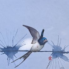 Mein Abschlussprojekt zum Kurs: Naturillustration - farbige und monochrome Aquarelle . Botanical Illustration, Drawing, Fine Arts, Traditional illustration, Naturalistic Illustration, Painting, and Watercolor Painting project by Susanne Taudte - 08.24.2025