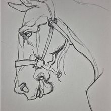 Mis practicas para mejorar mi visión de dibujo. Un proyecto de Dibujo, Dibujo anatómico, Dibujo a lápiz, Dibujo de Retrato, Sketchbook y Bocetado de Ana Cecilia Franco Gutierrez - 24.08.2025