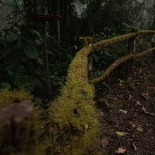 Proyecto Josué Castillo  Ein Projekt aus dem Bereich Fotografische Komposition, Fotografie, Dokumentarfotografie, Außenfotografie und Fotografie für Instagram von nellyabl - 27.08.2025