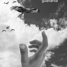 Die Hand und der Falke Ein Projekt aus dem Bereich Collage und Fotomontage von Joakim Berdugo Guañarita - 02.09.2025