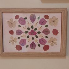 Meu primeiro herbário . Arts, Crafts, Collage, DIY, Fine Arts, Floral, and Plant Design project by lucianaloureiro_30 - 09.02.2025