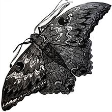 Gráfica Pública-Polilla. Engraving, Street Art, and Fine Arts project by Luisa Estrada - 09.03.2025