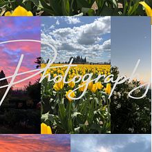 Natalia Sanchez Photography . Un progetto di Br, ing, Br, identit, Graphic design, Design per i social network e Web design di Natalia Gutierrez Sanchez - 04.09.2025