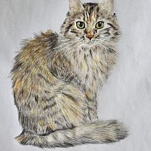 Tara. Traditional illustration, and Naturalistic Illustration project by Giulia - 09.05.2025