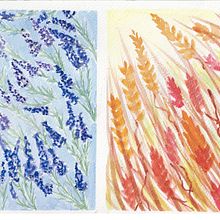 Pola lawendy. Artes plásticas, Ilustração tradicional, Pintura, Pintura em aquarela, e Teoria da cor projeto de Sophie Sanguis - 08.09.2025
