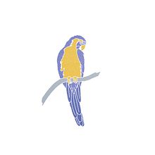 Cloud Forest Scarf, un projet de collage numérique. Un projet de Illustration traditionnelle, Design textile, Design graphique, Dessin, Création d'accessoires, Dessin numérique, Carnet de croquis, Conception numérique, Conception de produits et Illustration botanique de Cher Cowan - 16.09.2025