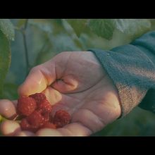Color Grading. Audiovisual Post-production, and Color Correction project by Luane Palhares - 09.17.2025