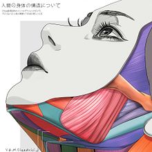 Sketchbook: 45 - 48 Ein Projekt aus dem Bereich Digitale Illustration, Zeichnung, Skizzenentwurf, Sketchbook, Porträtzeichnung, Anatomische Zeichnung und Infografik von Elola illustrator - 19.09.2025