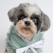 Star's Photo Session. Un progetto di Fotografia, Fotografia in studio, Fotografia di ritratto, Fotografia lifest e le di chat_quintia - 20.09.2025