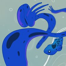 The Elastic Journey of a Blue Frog. Animation project by romandiego26 - 09.22.2025