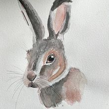 Lapin final . Un projet de Illustration traditionnelle, Aquarelle, Beaux Arts et Illustration naturaliste de laeticiamota - 22.09.2025