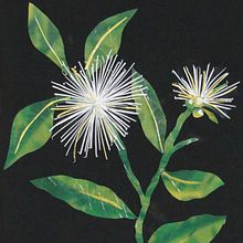 Late Bloomer: Botanical Plastic Mosaik. Un progetto di Collage, Illustrazione botanica, Upc e cling di Rosa Montesa Reciclado Creativo - 22.09.2025