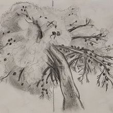 Dibuixos fotogràfics. Ilustração tradicional, e Desenho projeto de annaatw - 27.09.2025