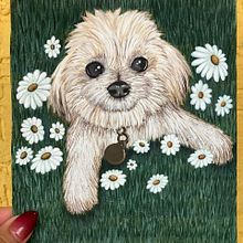 Jack and the daisies✨ Ein Projekt aus dem Bereich Bildende Künste, Gouachemalerei, Naturalistische Illustration und Malerei von Amanda Sanchez - 28.09.2025