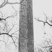 Fotografía de retrato con luz natural. Un proyecto de Fotografía y Fotografía de retrato de Antonio Maldonado Martínez - 29.09.2025