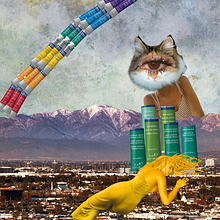 Gdzieś ponad 210. Projekt z dziedziny  Kolaż, Projektowanie c i frowe użytkownika Joannah McLarty - 29.09.2025