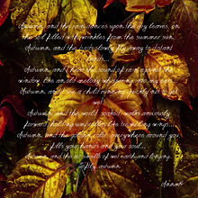 Herbst Ein Projekt aus dem Bereich Schrift und Fotografie von Anna Ketetzoglou - 29.09.2025