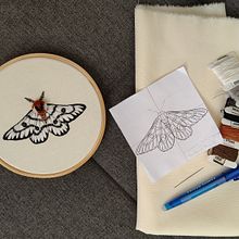 Mariposa hera em pintura de agulha. Embroider project by Marina Gonçalves - 09.30.2025