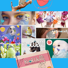 Krawelli – inspiriert von Wellensittichen. Un proyecto de Diseño, Fotografía, Marketing, Br, ing e Identidad, Creatividad, Redes Sociales, Packaging, Stor, board, Bocetado, Diseño gráfico, UX / UI y Concept Art de Kristin - 30.09.2025